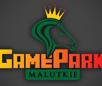 MALUTKIE GAME PARK – SALA GIER INTERAKTYWNYCH ODDANA JUŻ DO WASZEJ DYSPOZYCJI